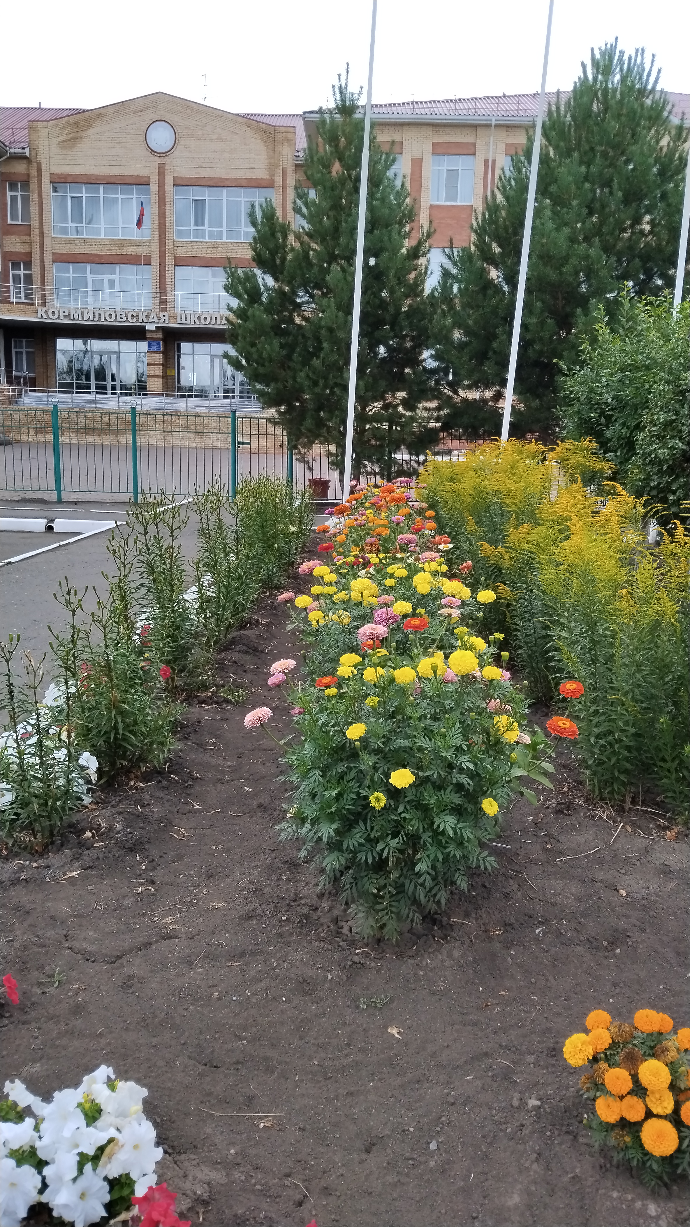 Фотографии школы.